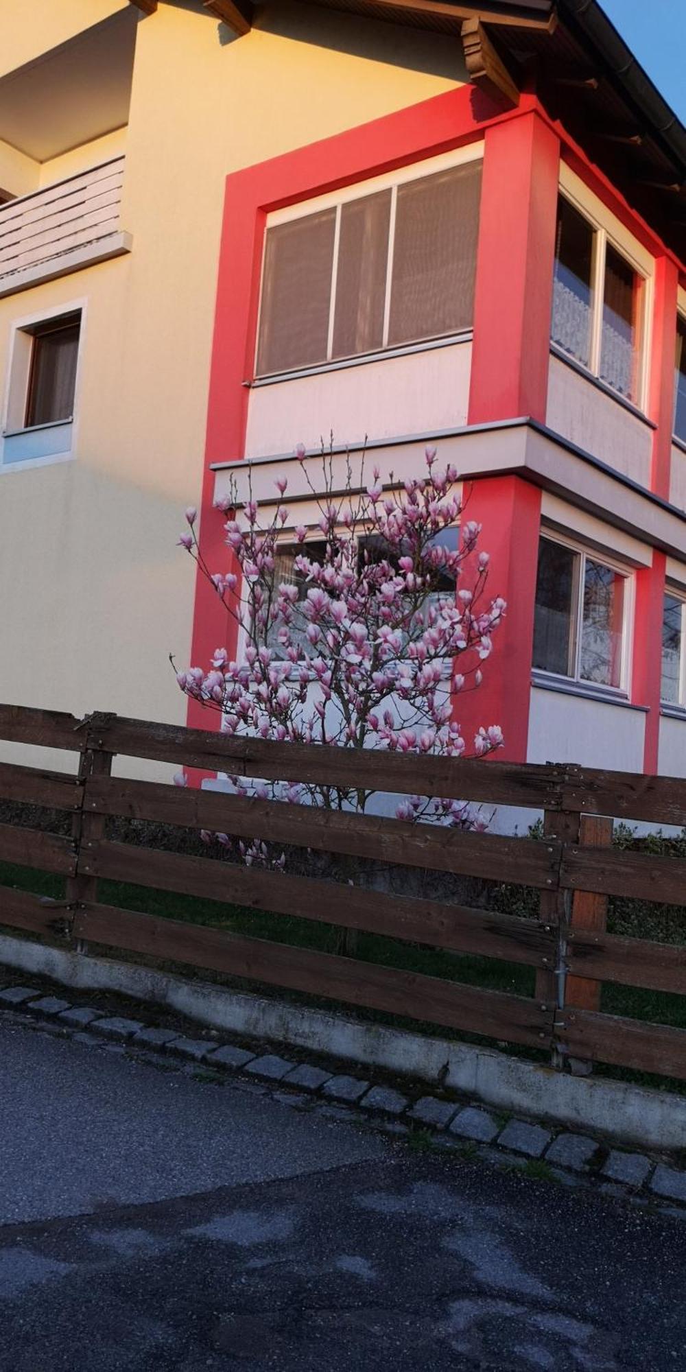 Vermietung Gisl Wiesent Zewnętrze zdjęcie